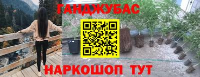 кокс Гусев