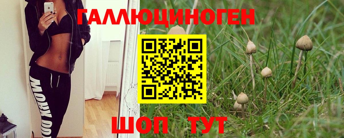 Псилоцибиновые грибы Psilocybe  Вход с VPN  Нововоронеж 